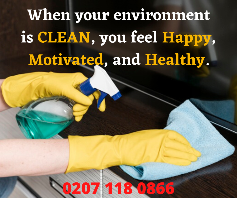 professional cleaning Company London